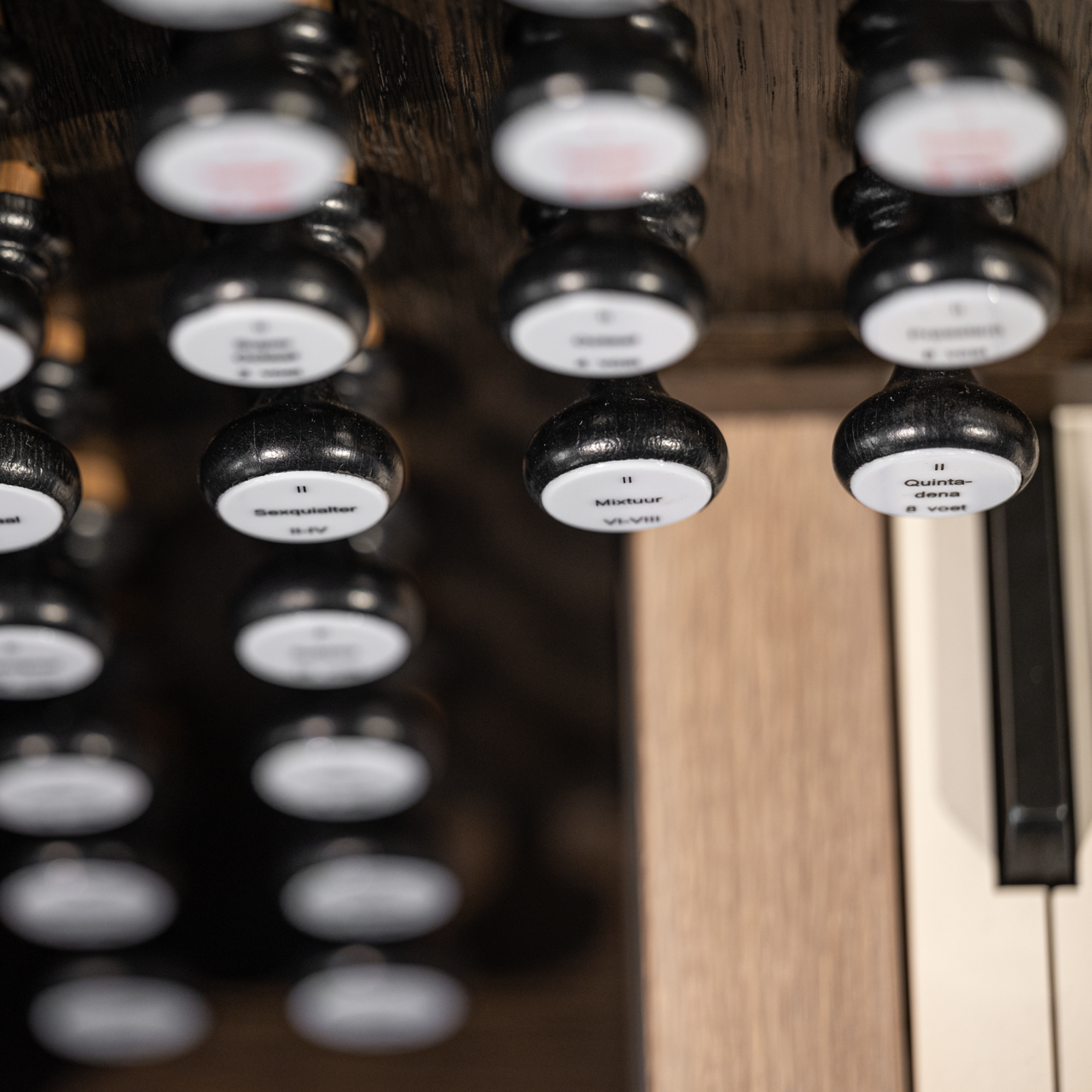 335+ — perspectiva