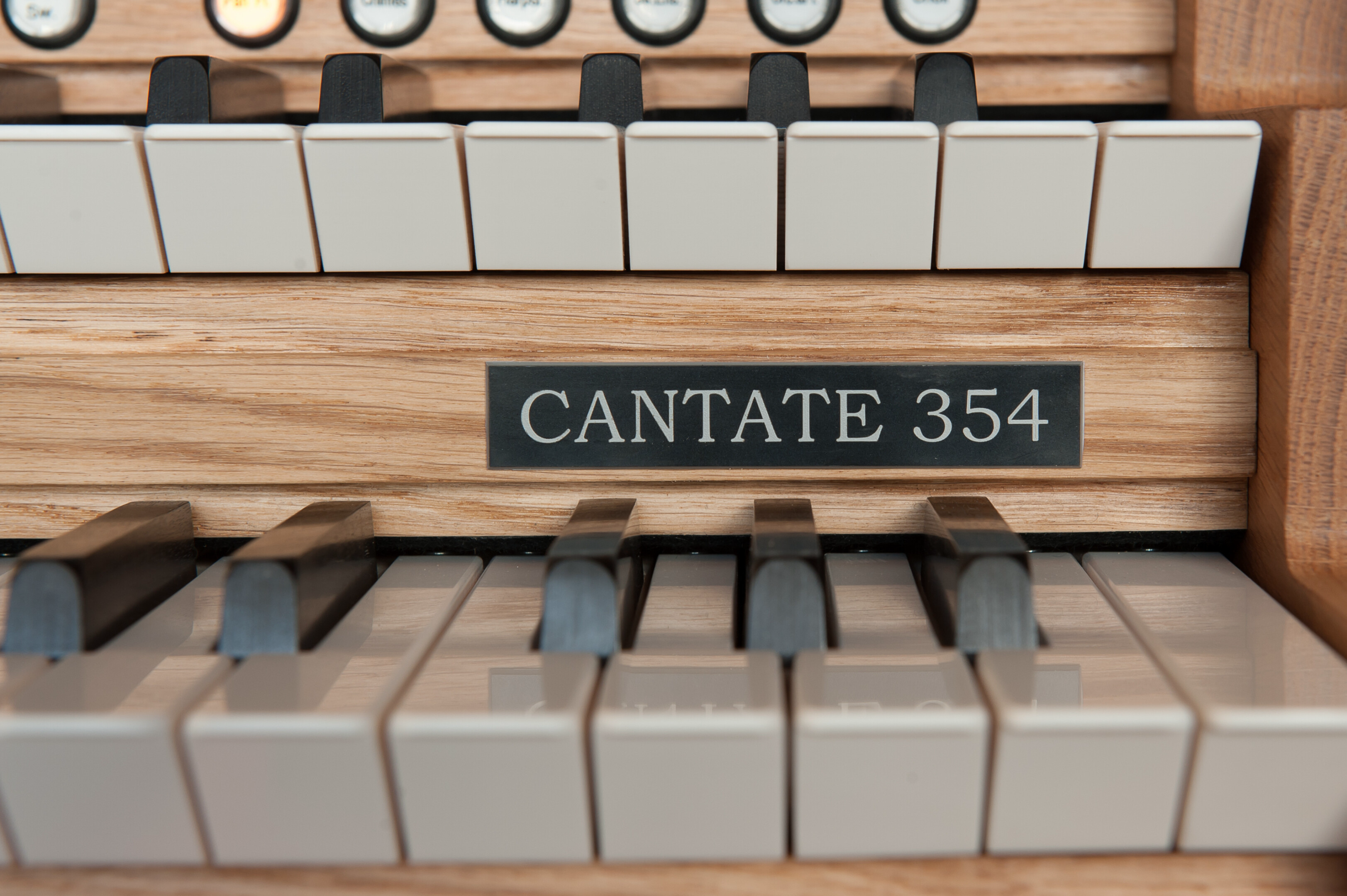 Cantate 354 — vista frontal