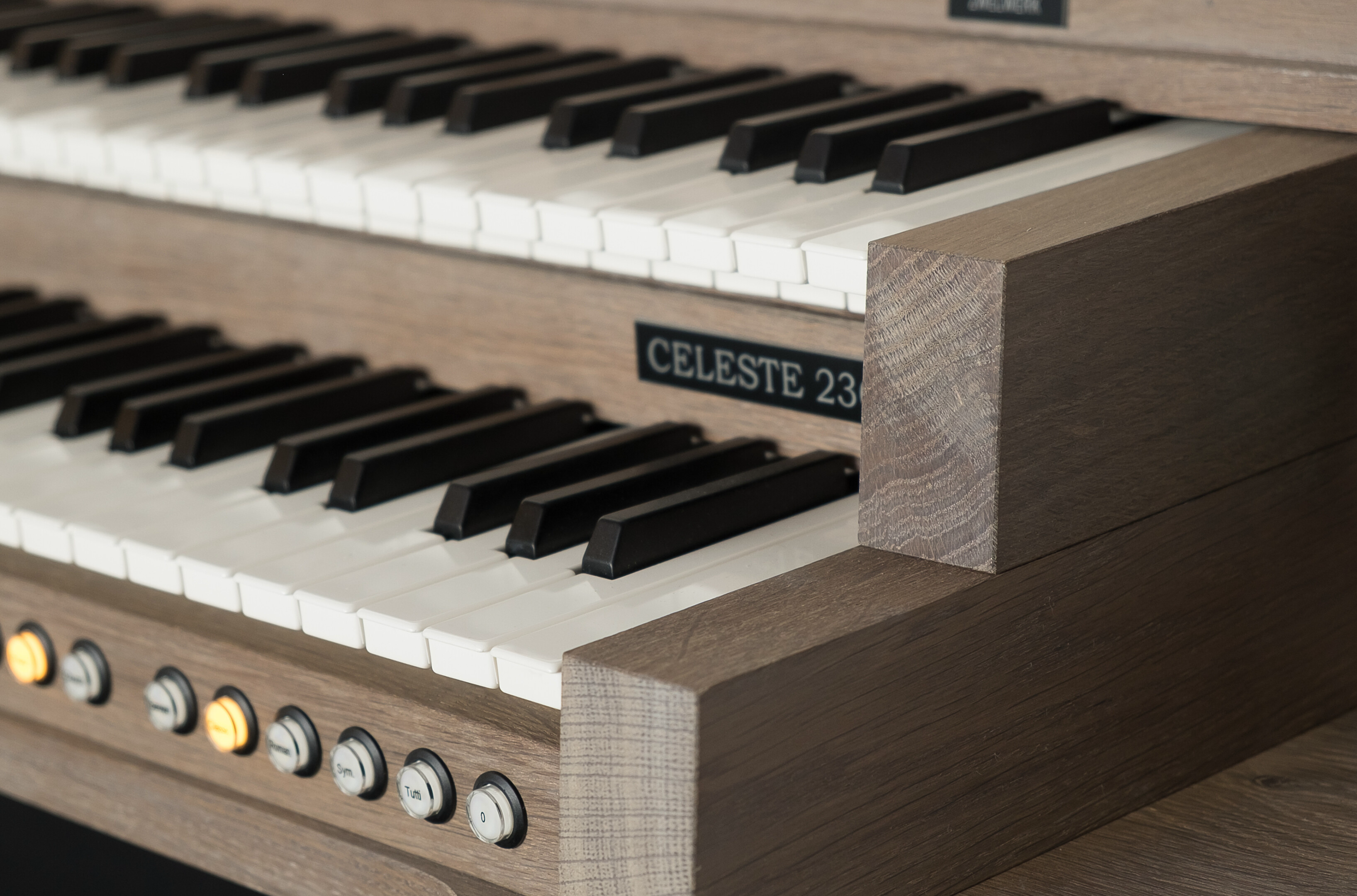 Celeste 236 — vista frontal