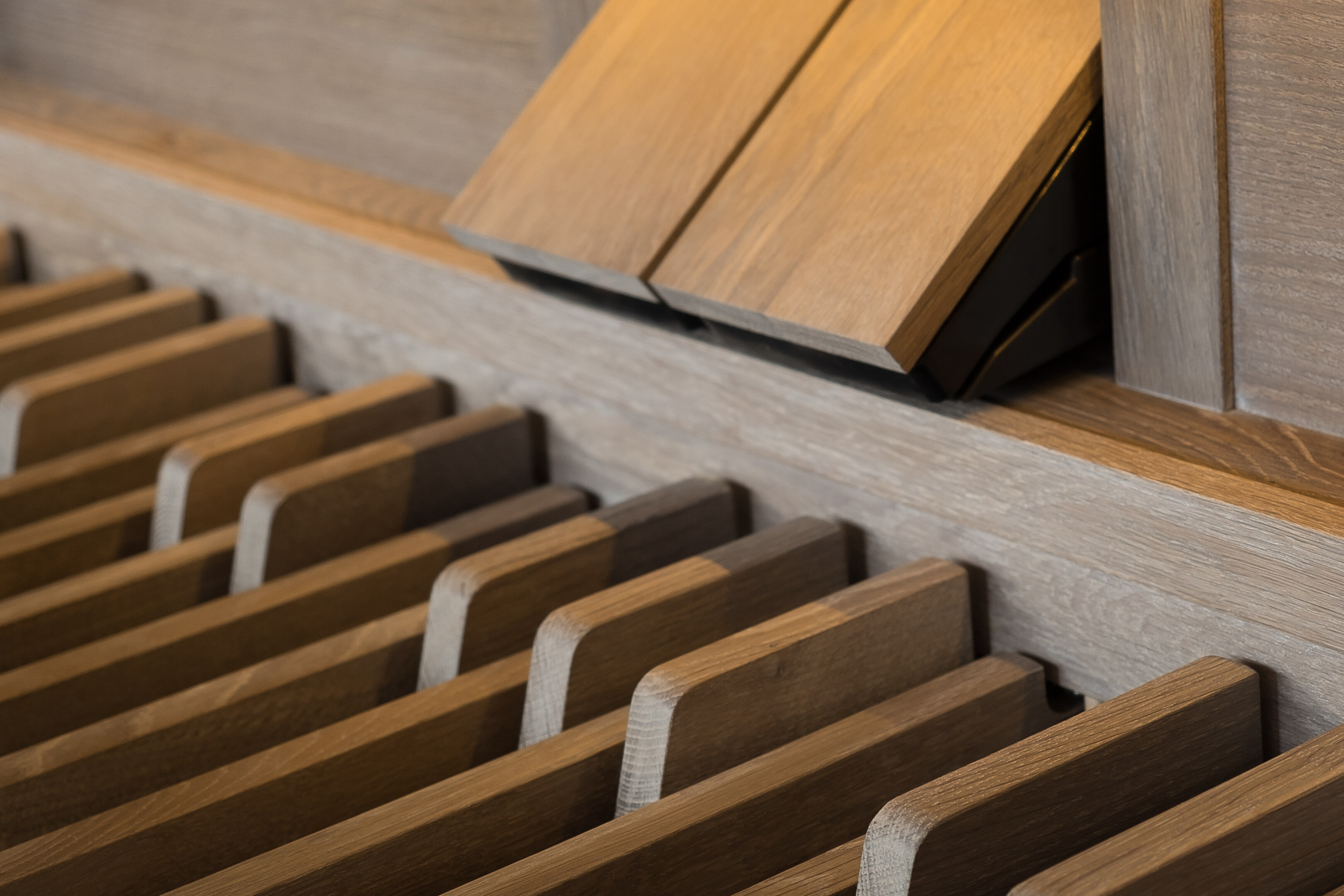 Celeste 236 — teclados