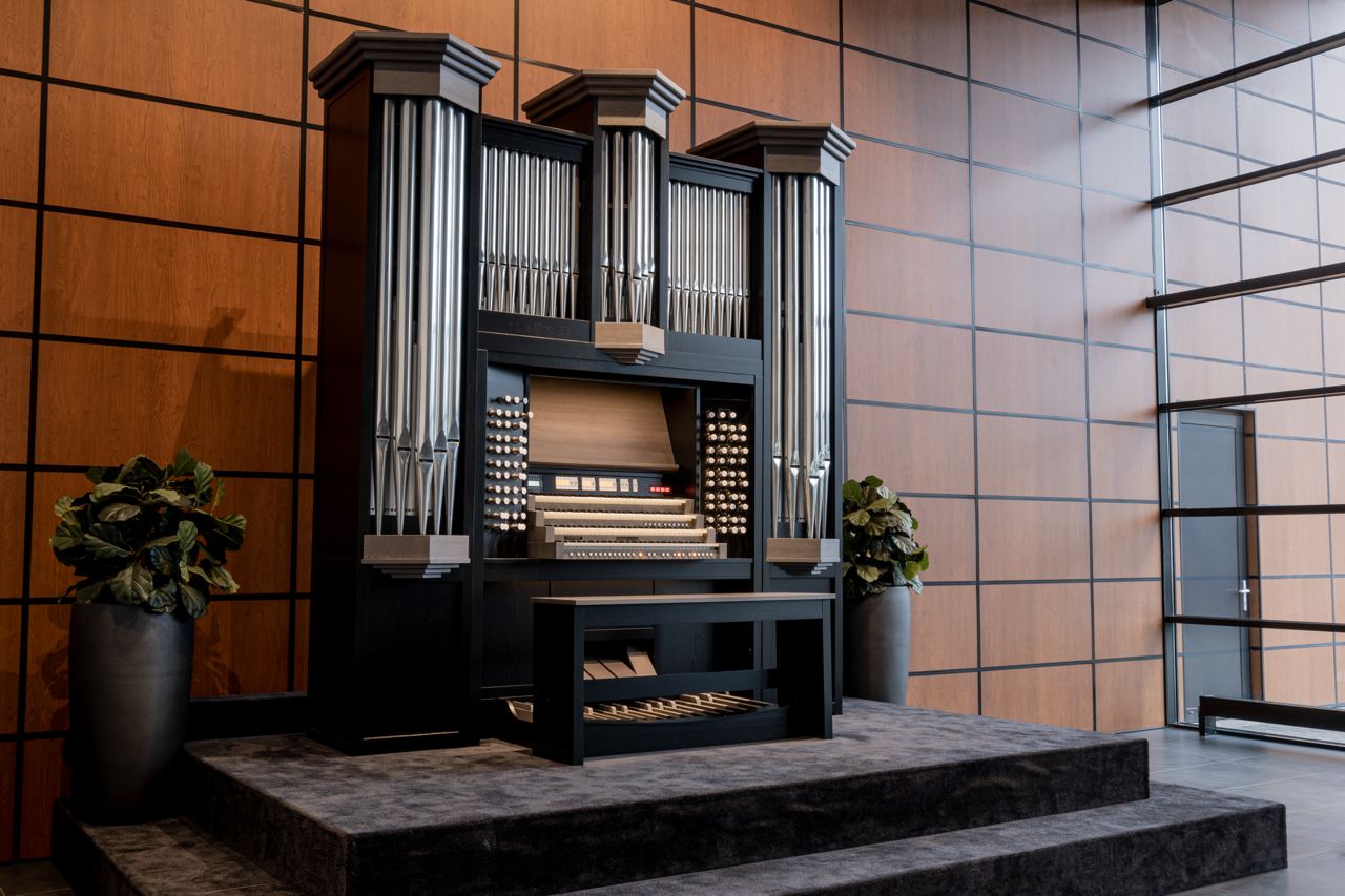 Jubileo 40 — panorámica