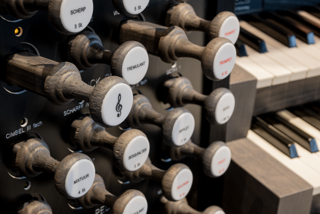 Jubileo 40 — perspectiva