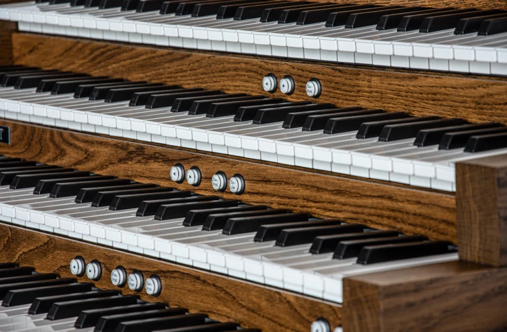 MIDI Console — conexiones y compartimento interior