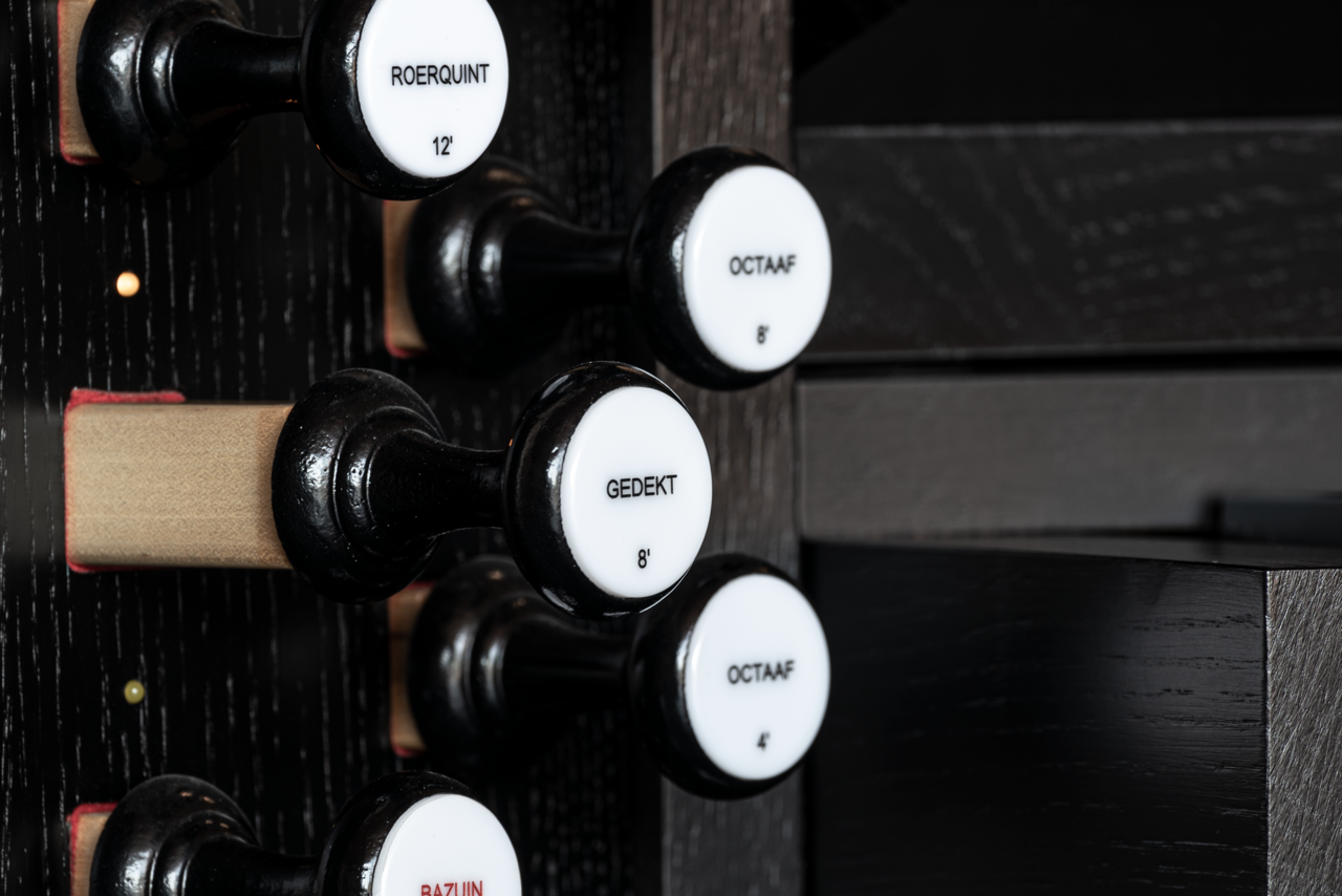 Mondri 236 — lateral