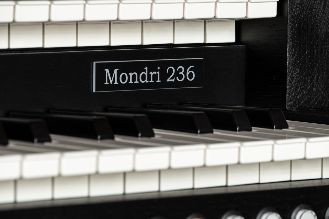 Mondri 236 — detalle