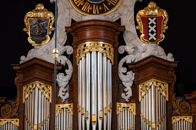 Perspectiva del órgano