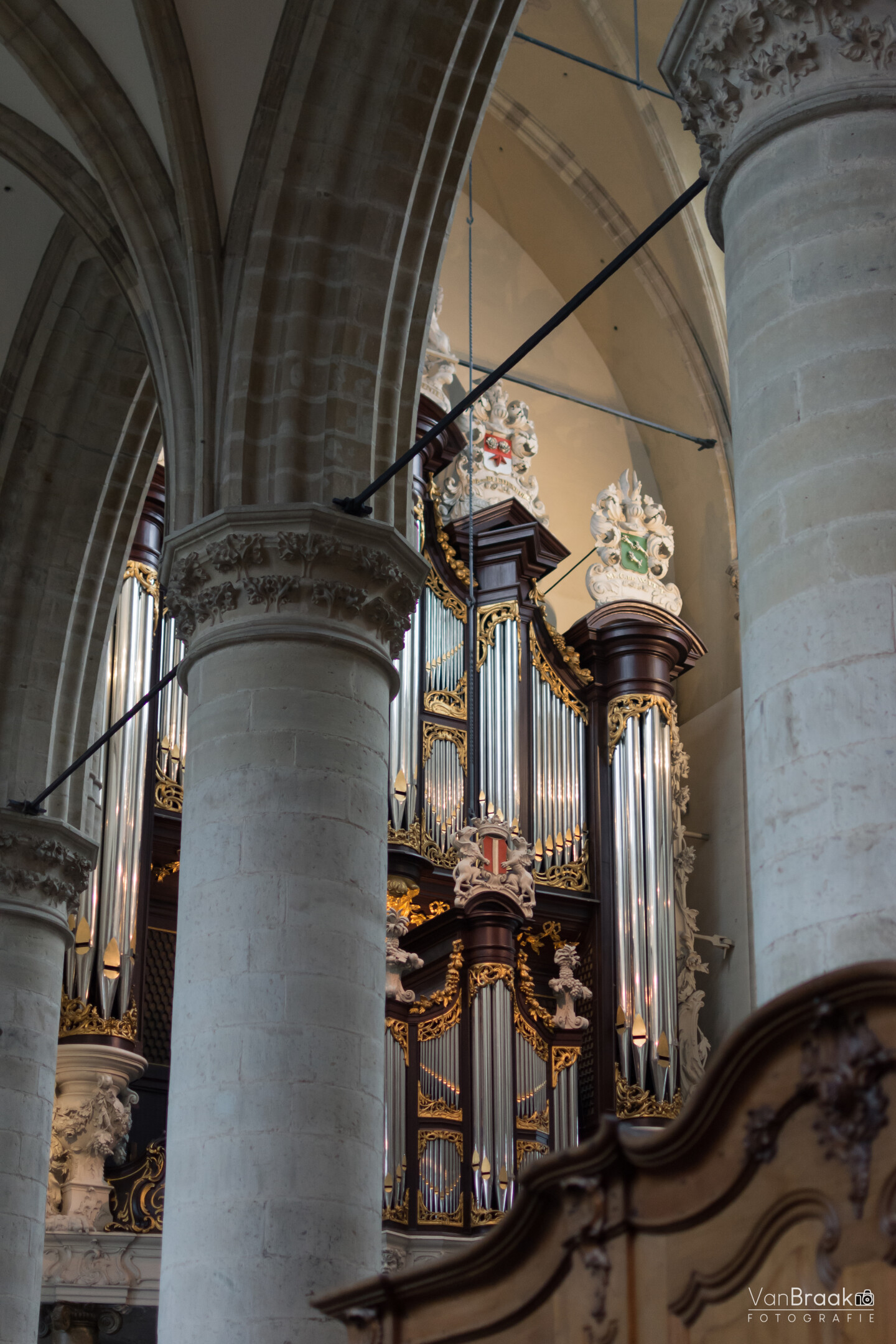 Perspectiva del órgano