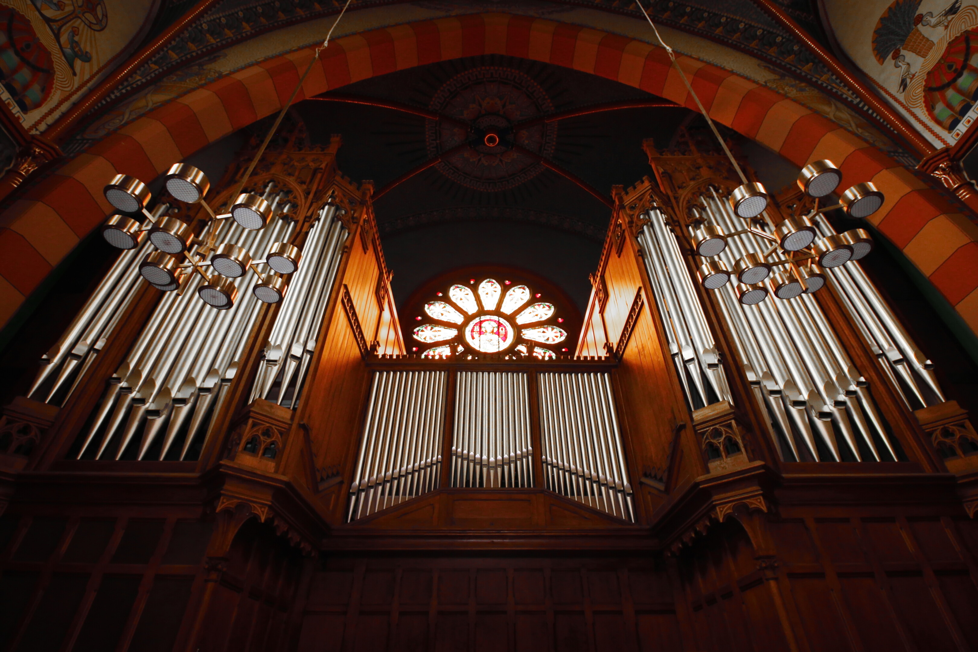 Tubería del órgano