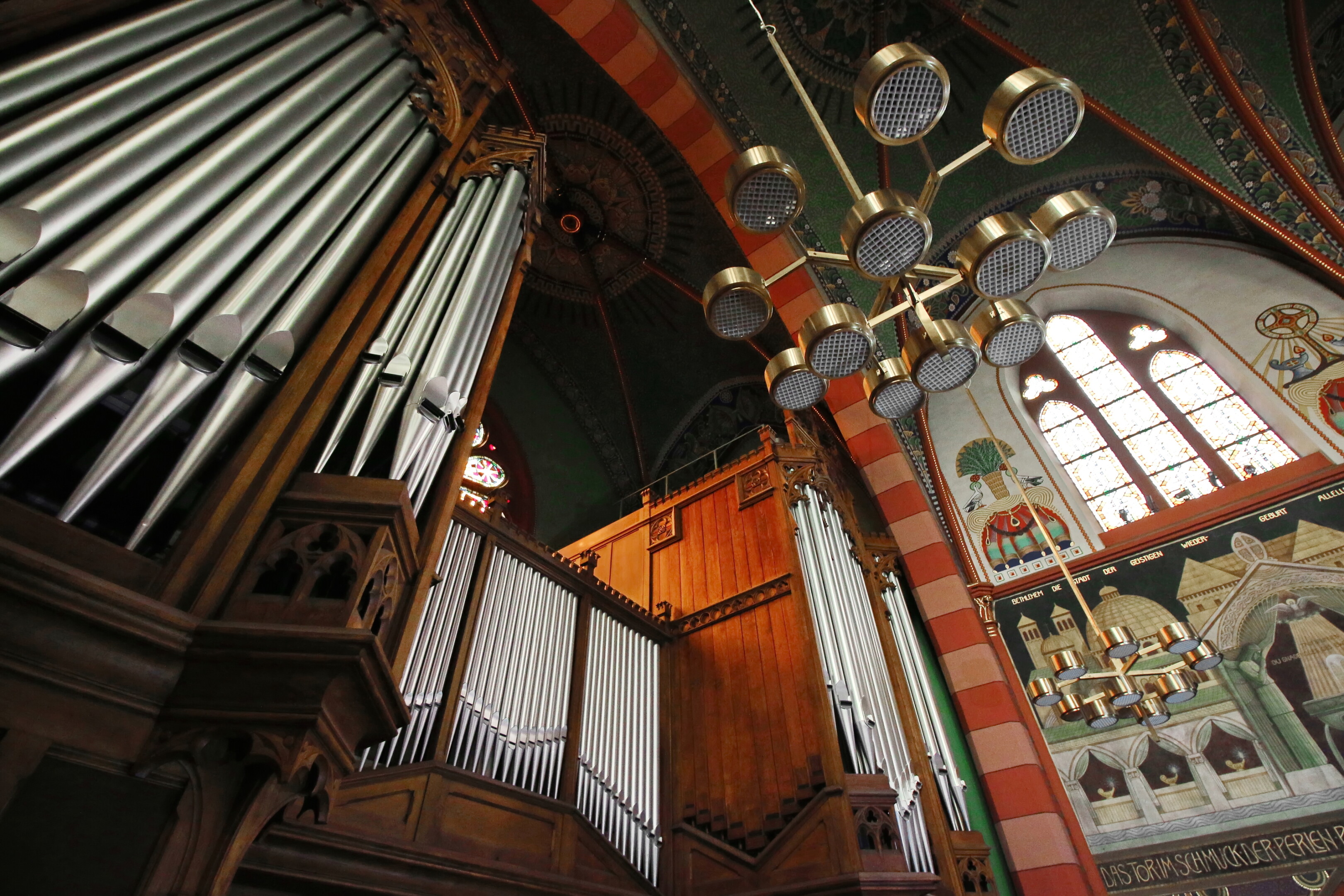 Perspectiva del órgano