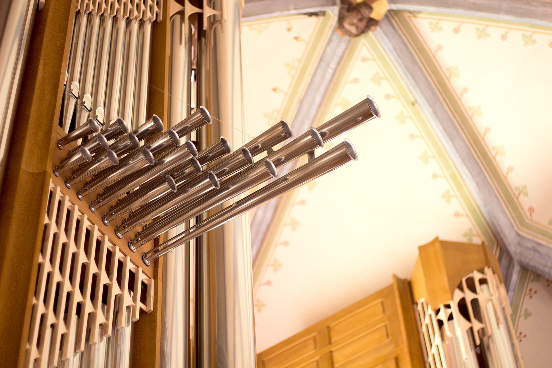 Tubos del órgano