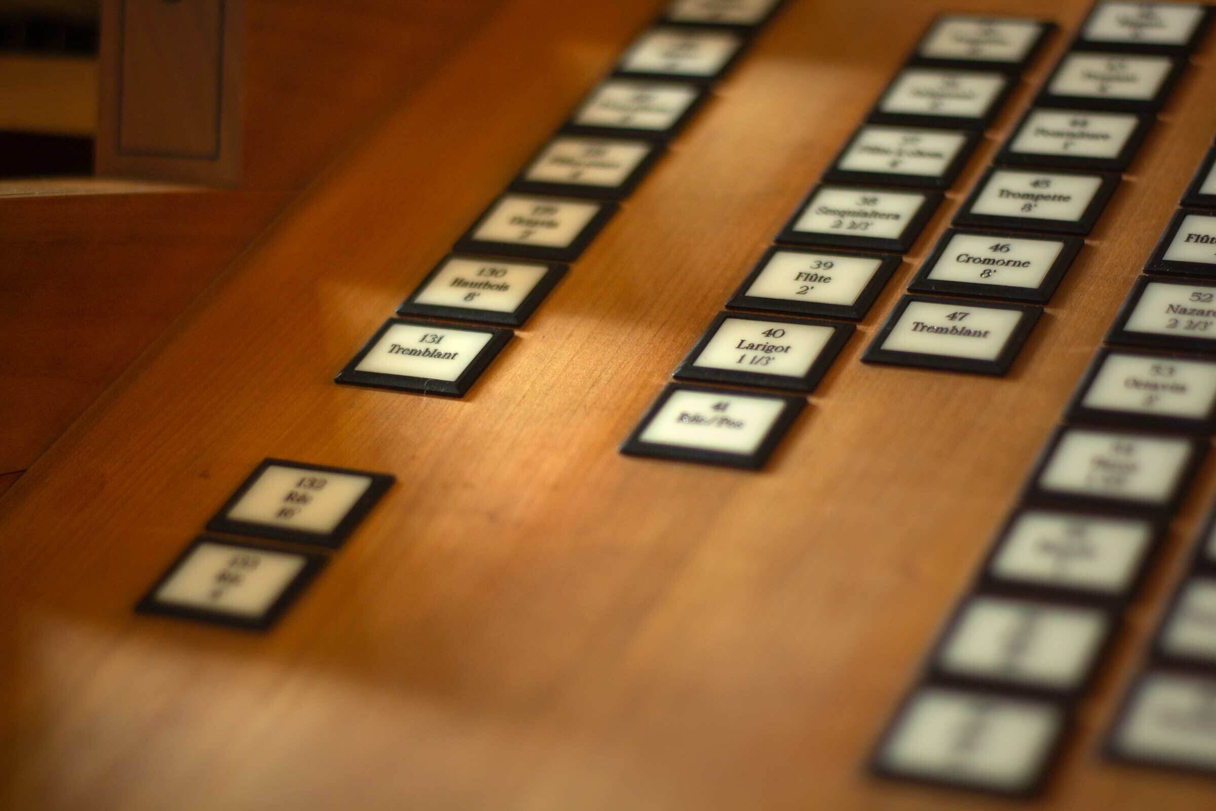 Perspectiva del órgano