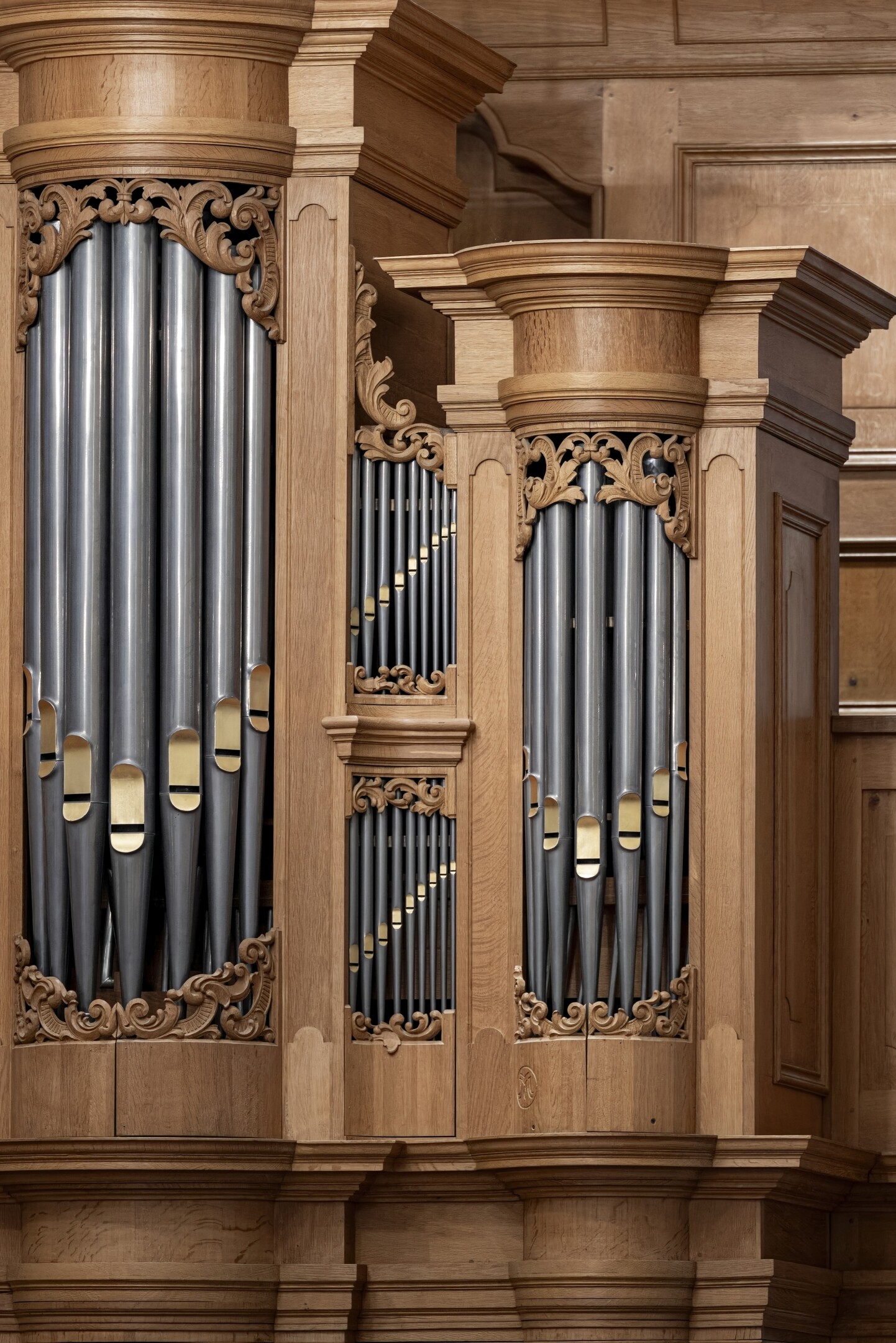 Órgano Reil — detalle