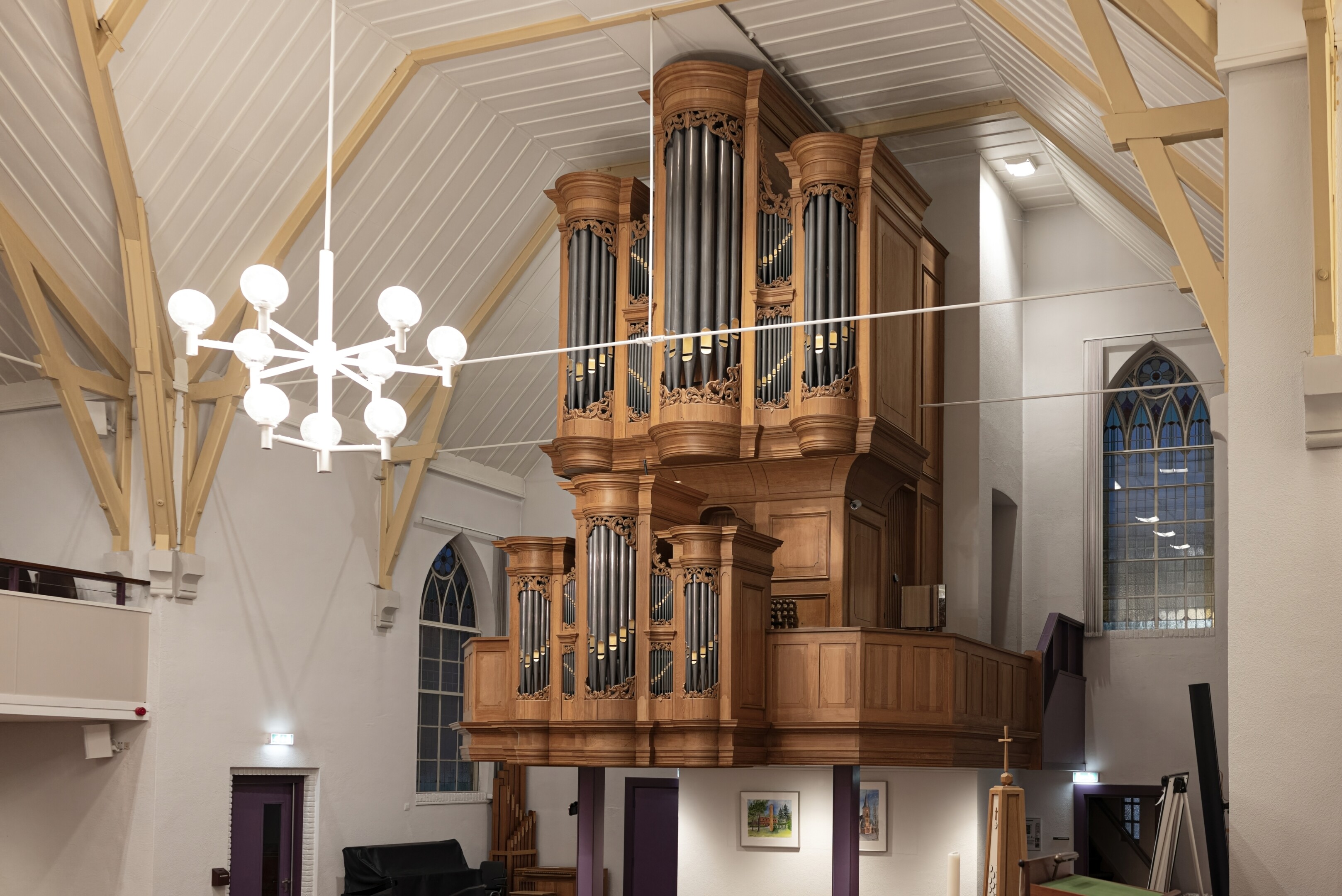 Órgano Reil — perspectiva