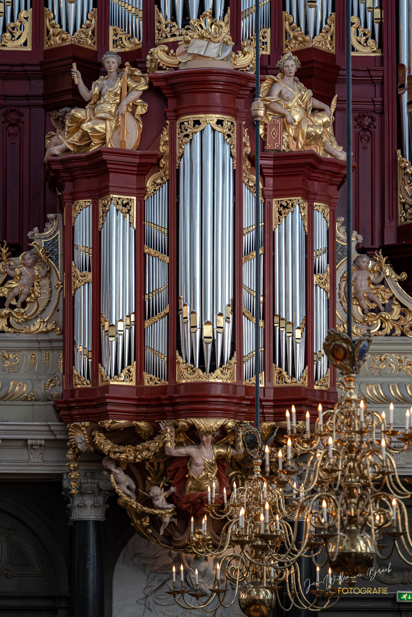 Órgano Müller — perspectiva