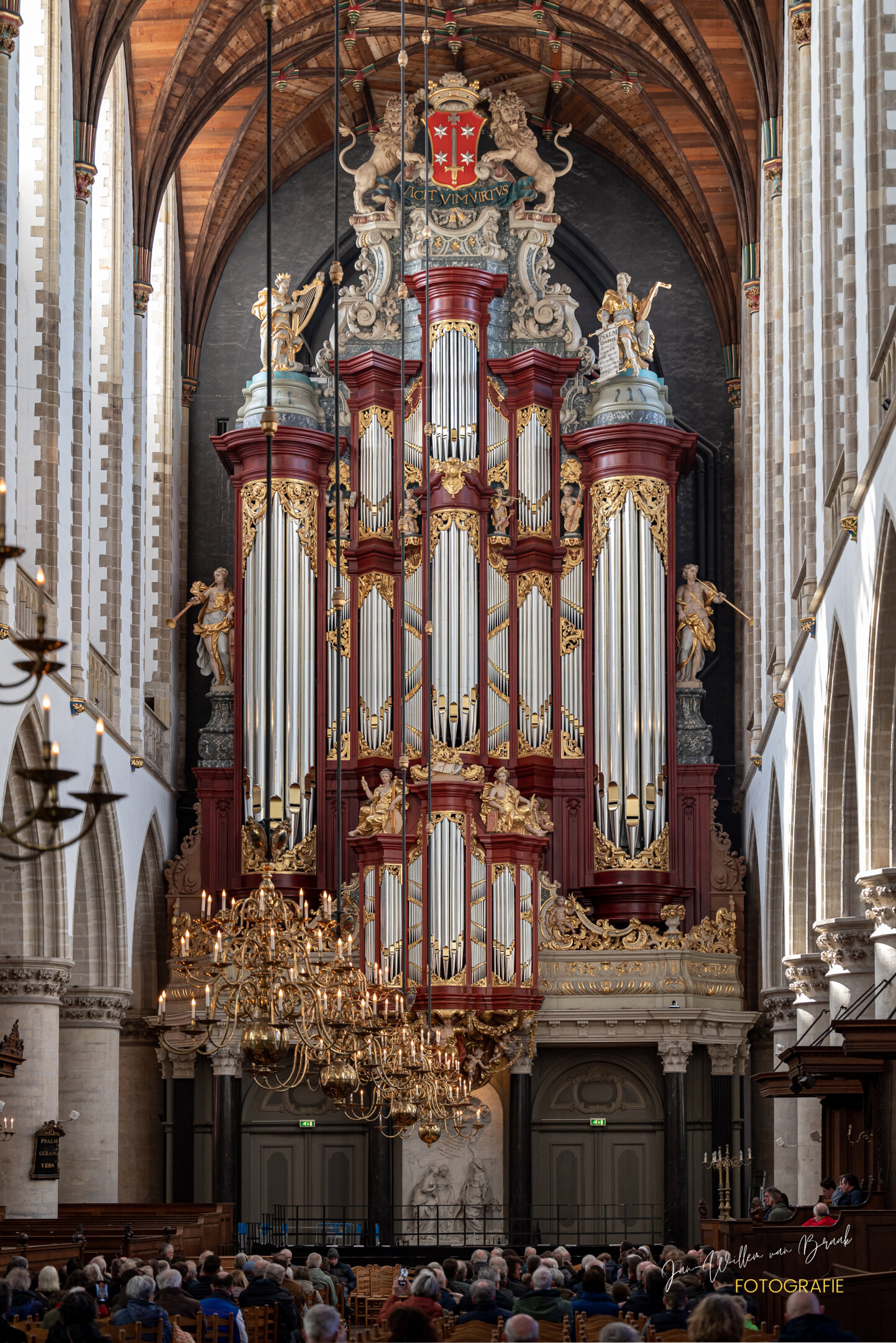 Órgano Müller — registros