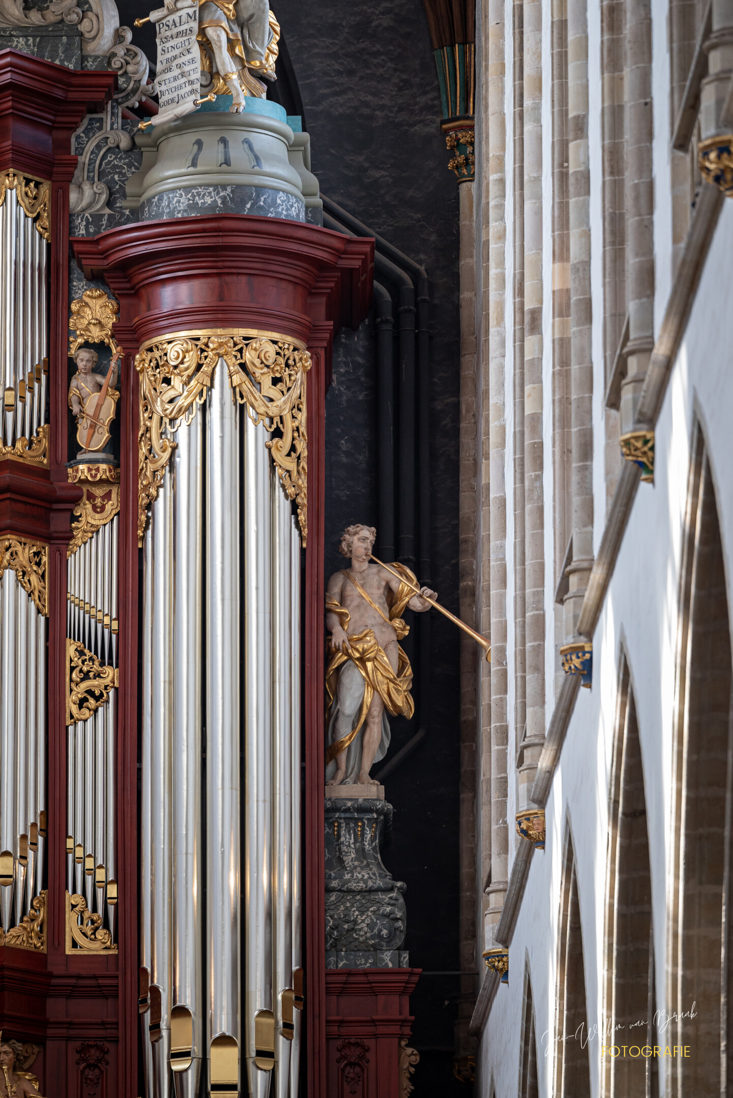 Órgano Müller — vista inferior