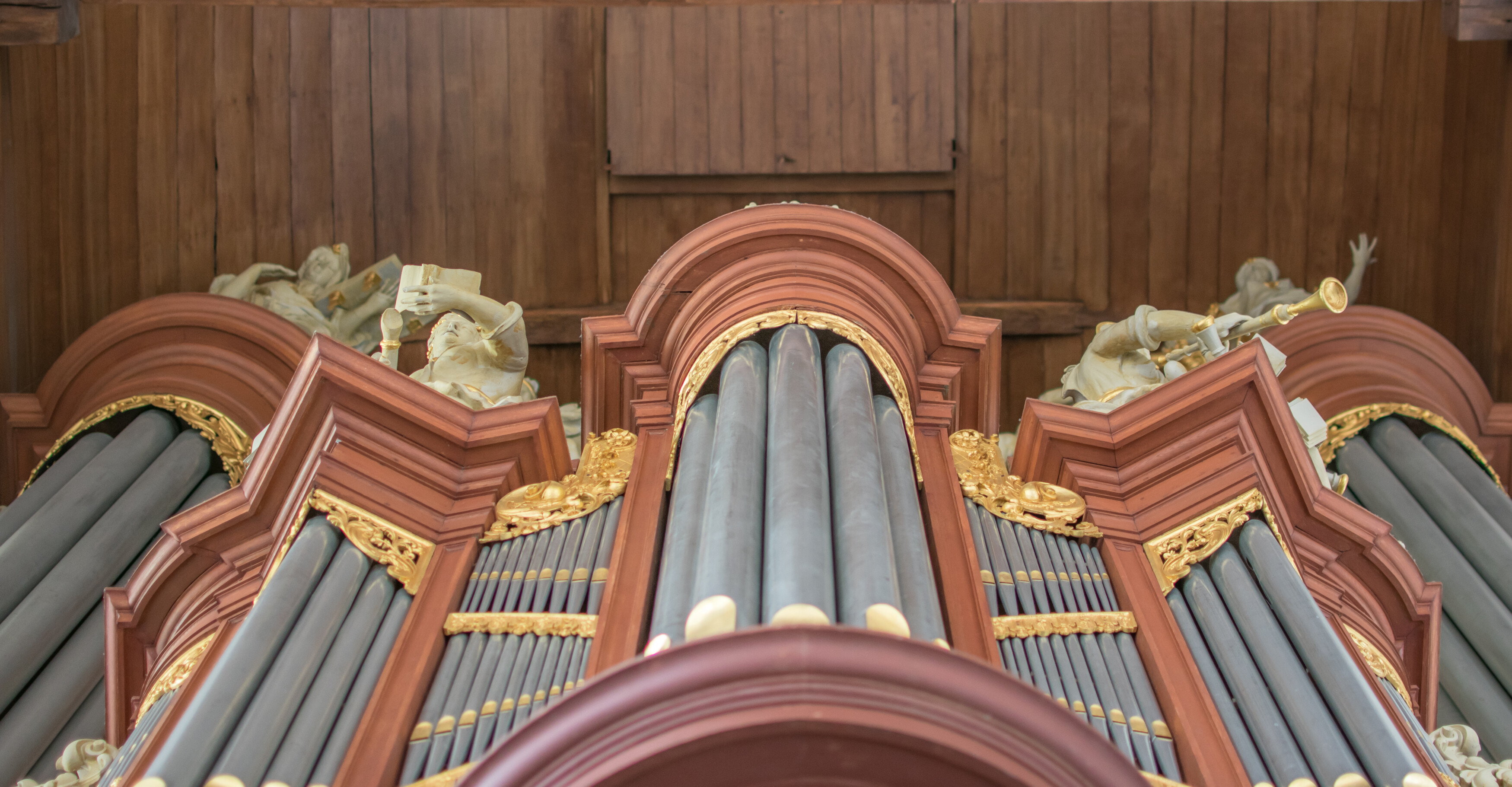 Interior de la Jacobijnerkerk — Leeuwarden