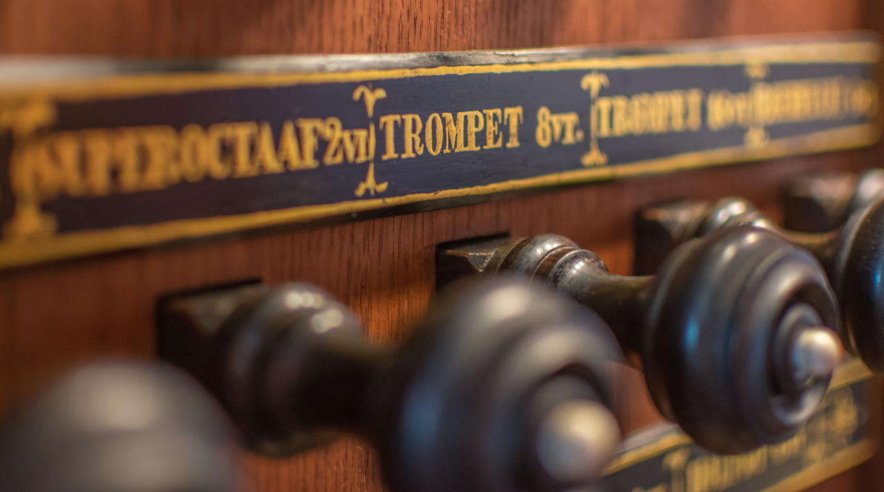 Perspectiva del órgano