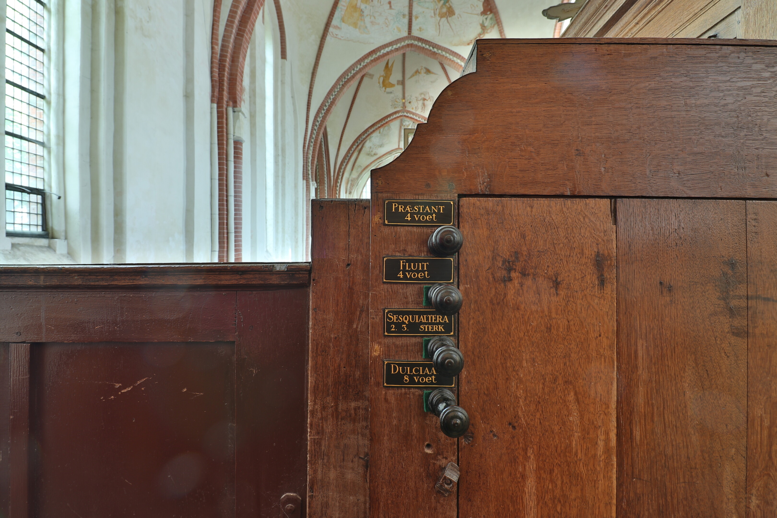 Perspectiva del órgano