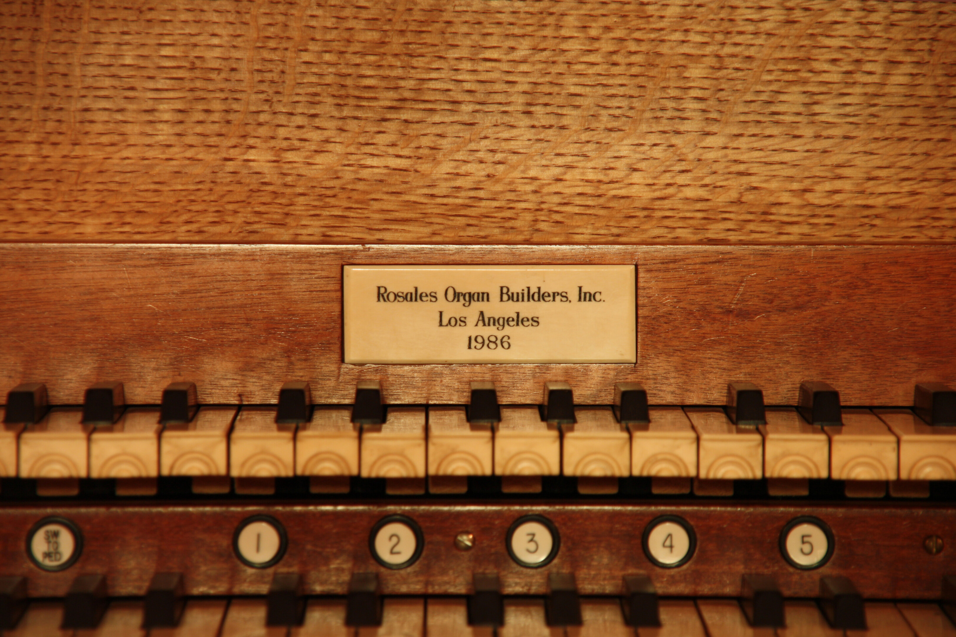 Portland Trinity — vista 3