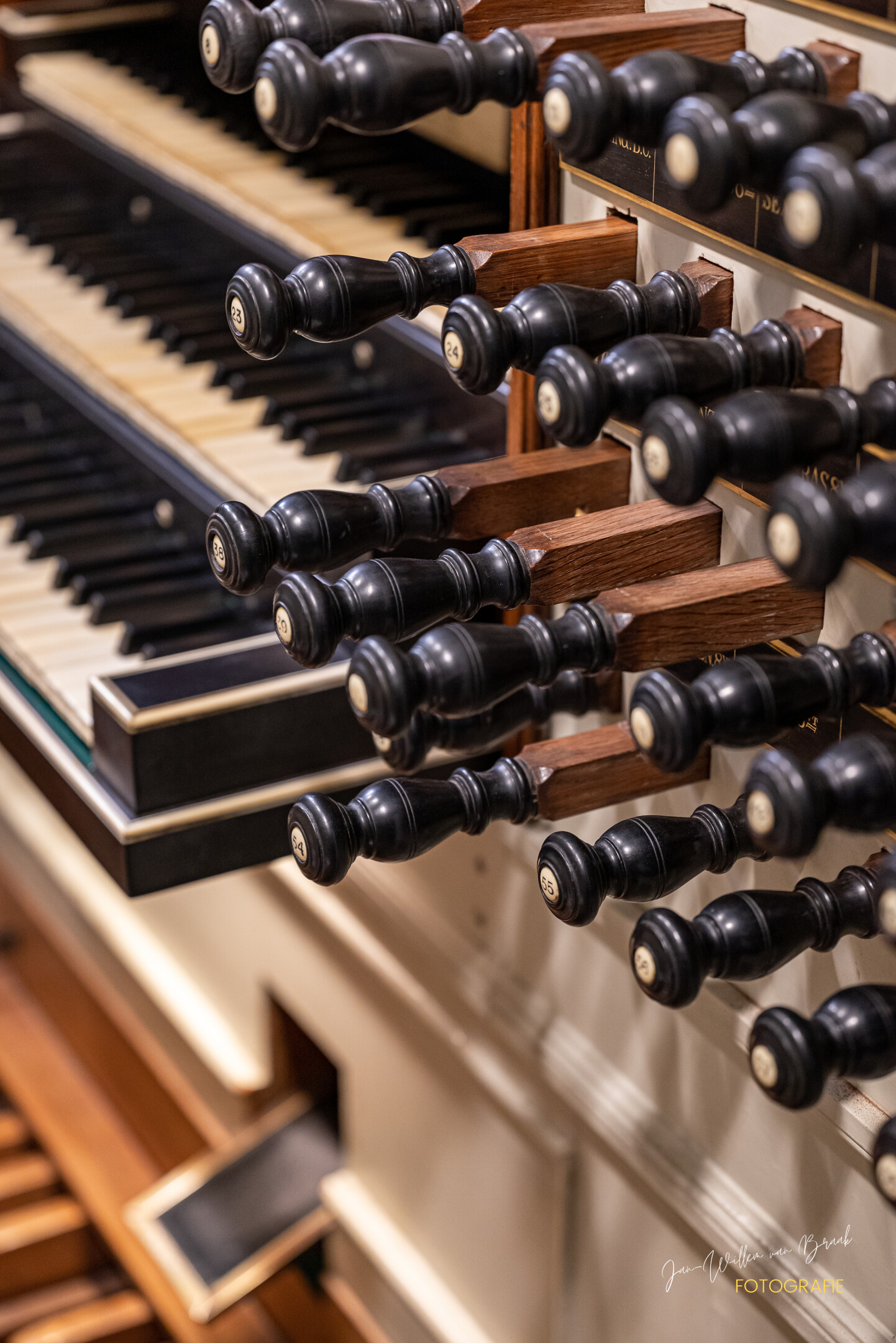 Interior Domkerk — vista del órgano